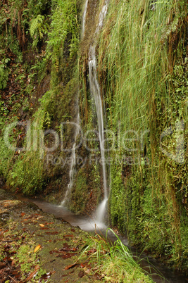 Levada de Furado, Madeira