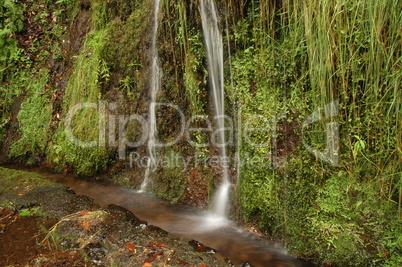 Levada de Furado, Madeira