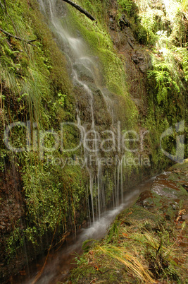 Levada de Furado, Madeira