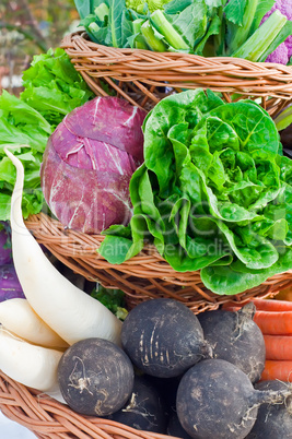 Basket full with Vegetables