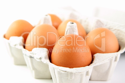Eier in Eierpackung