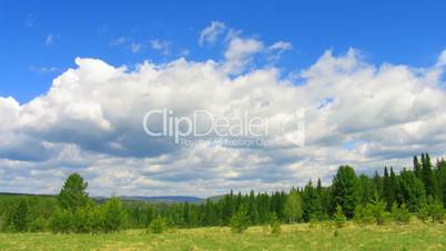 timelapse summer nature scene clouds above forest