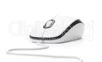 white computer mouse isolated
