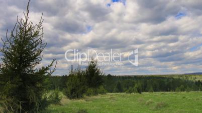 timelapse clouds above summer field and forest