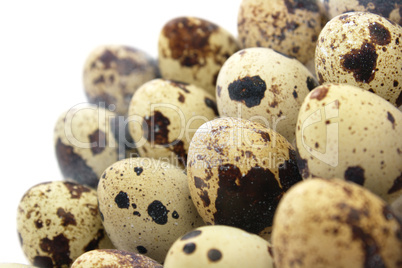 Quail eggs