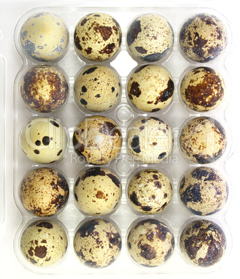 Quail eggs