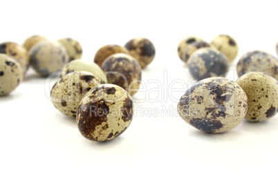 Quail eggs