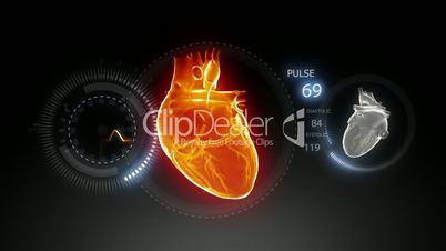 Human heart with pulse trace_2