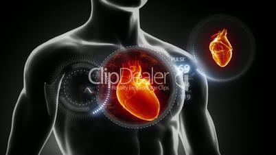 Spinning body with heart and pulse trace
