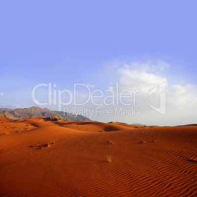 Desert landscape, sand dune - Wüste, Wüstenlandschaft