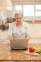 Senior woman working on her laptop