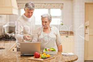 Mature couple looking at their laptop