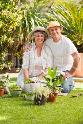 Senior couple looking at the camera in the garden