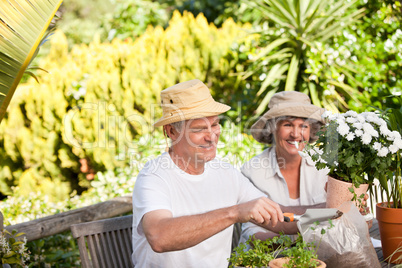 Senior couple sitting in their garden