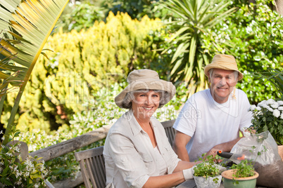 Senior couple sitting in their garden