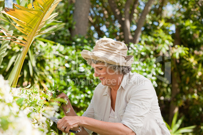 Mature woman working in her garden