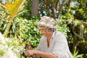 Mature woman working in her garden
