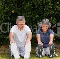 Retired couple doing their exercises