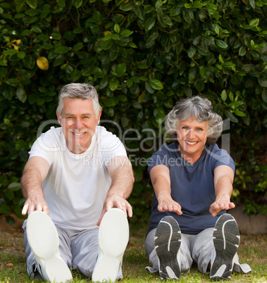 Retired couple doing their exercises