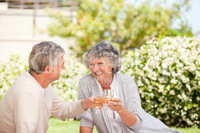 Happy senior couple drinking wine and toasting each other