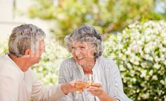 Happy senior couple drinking wine and toasting each other
