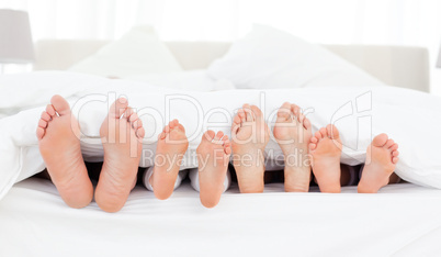 Family's feet in the bed