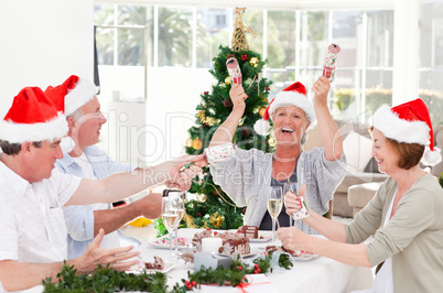 Seniors on Christmas day at home