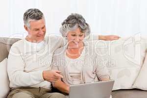 Retired lovers looking at their laptop