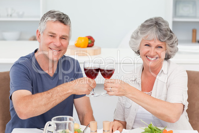 Senior couple drinking wine