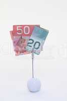 Kanadische Dollars