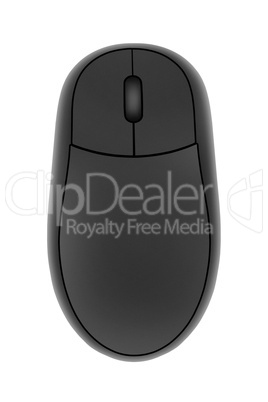 computer mouse