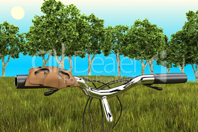 Bike on the background of trees