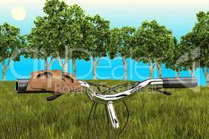 Bike on the background of trees