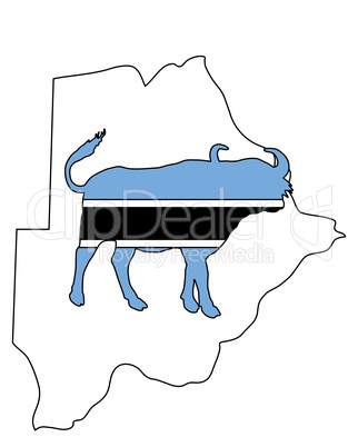 Botswana Büffel