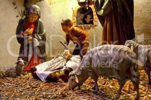 Weihnachtskrippe zur Weihnachtszeit mit Schafen und Kind