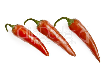 Three red hot pepper