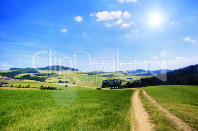 Road in an Austrian Landscape