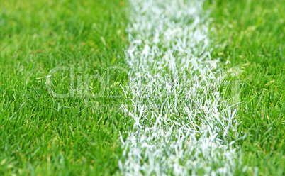 fußball rasen textur - soccer grass