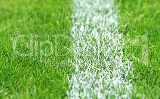 fußball rasen textur - soccer grass