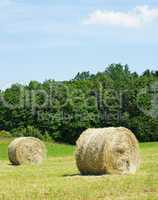 Natur & Heu Ernte - Nature & Hay with blue Sky