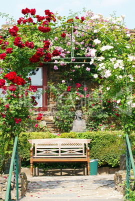 Schöner Rosengarten im Sommer - Garden with Roses