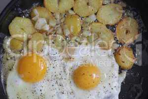 Egg And Fried Potatoes