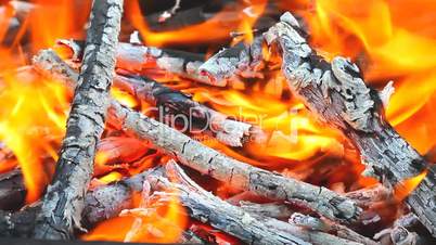 Fire wood for barbecue grill