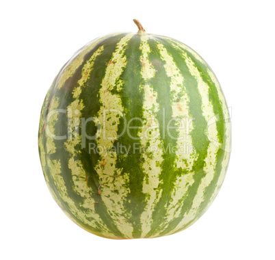 Watermelon  isolated
