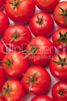 Tomatoes