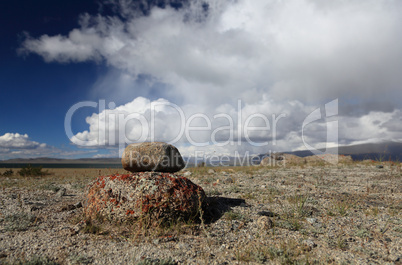 Mongolian landscape