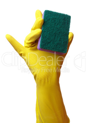 Hand in glove holding washing sponge