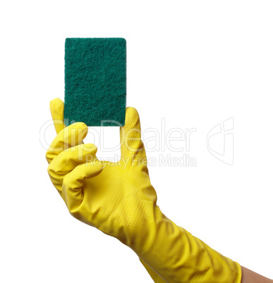 Hand in glove holding washing sponge