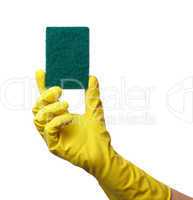 Hand in glove holding washing sponge