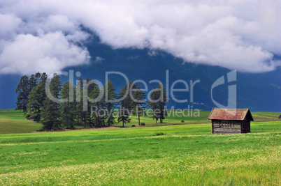 Wiesenlandschaft in Bayern